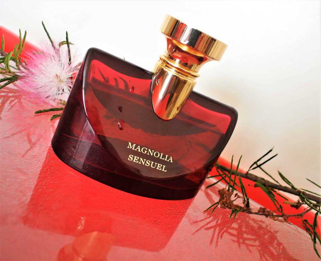 Floral Fragrances for Women Bulgari Splendida Magnolia Sensuel