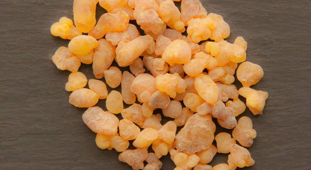 What Does Frankincense Smell Like? What Does Frankincense Smell Like?