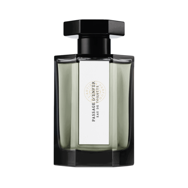 Otherworldly Smoke: 10 Best Incense Perfumes passage-denfer