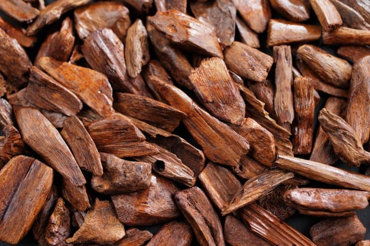 What Sandalwood Smells Like + Origins and Benefits what-does-sandalwood-smell-like