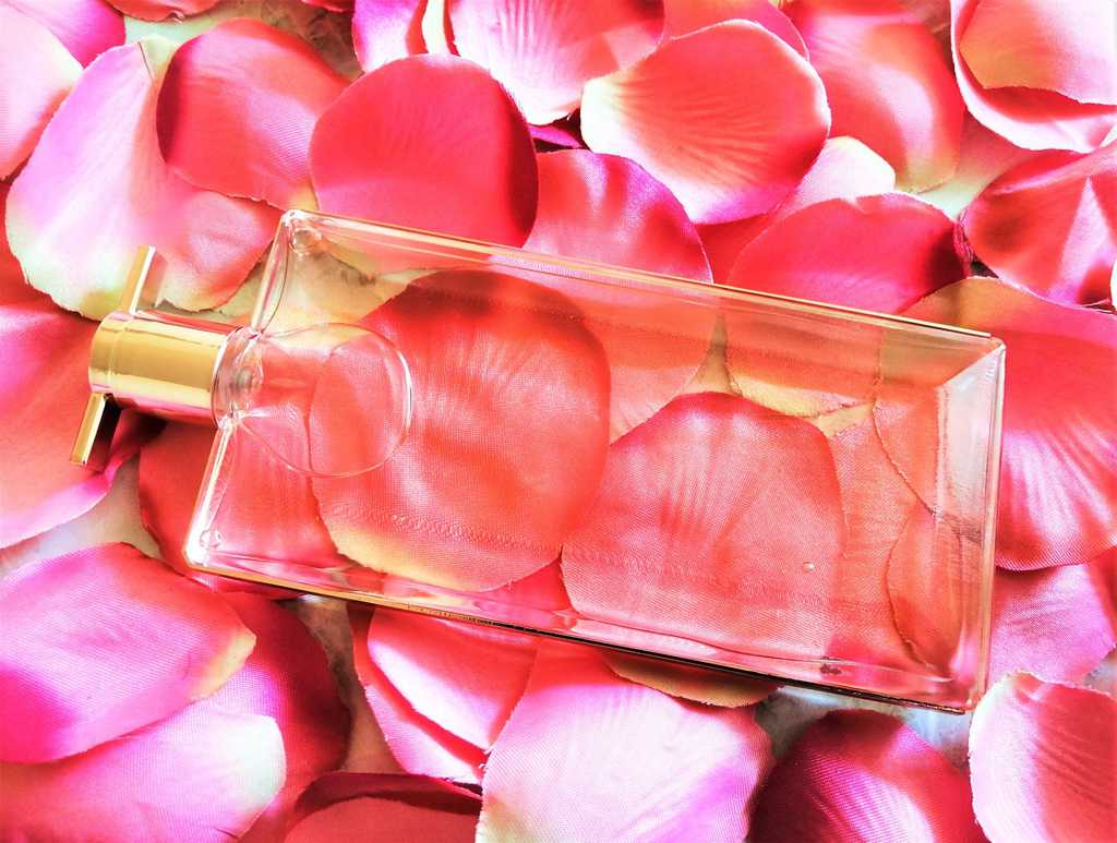 Interview with Perfumer Shyamala Maisondieu Interview with Perfumer Shyamala Maisondieu