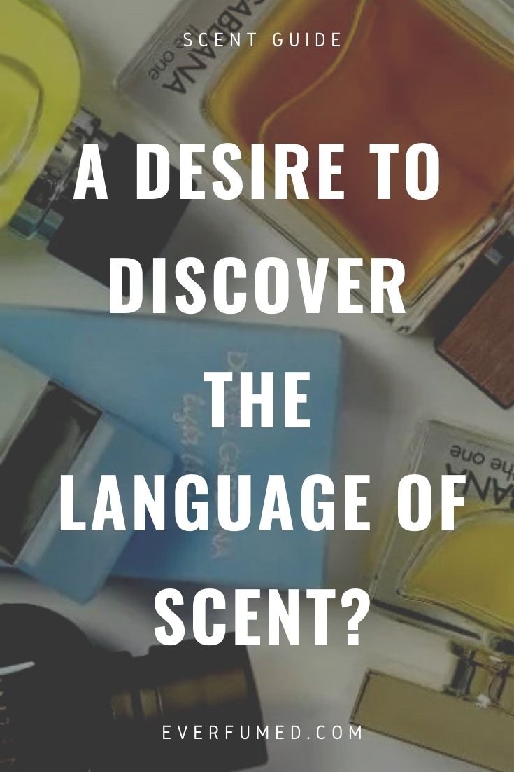 Fragrance Vocabulary: Dictionary to Perfumes SCENT VOCABULARY