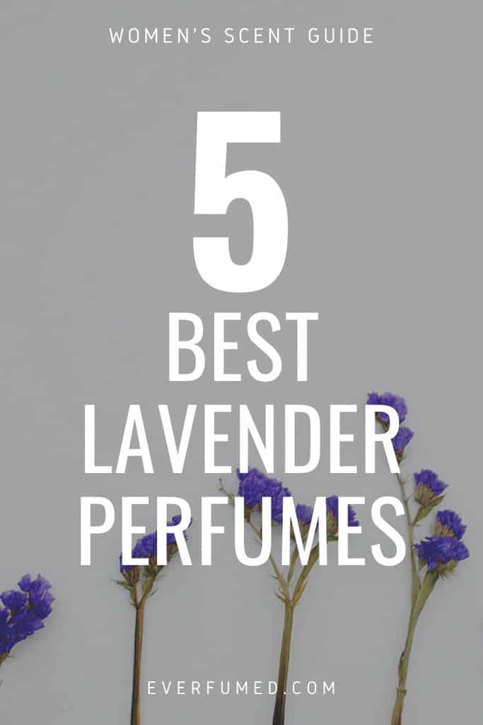 5 Best Lavender Perfumes and Everything You Need to Know About It 5 Best Lavender Perfumes and Everything You Need to Know About It