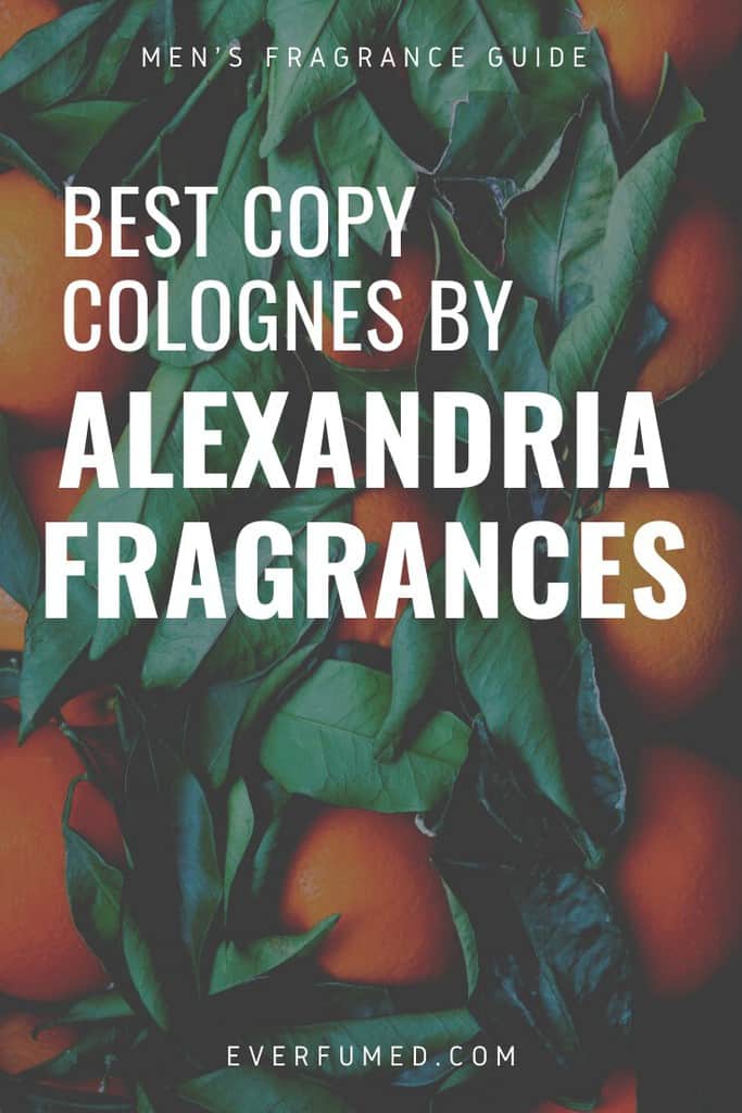 What You Need To Know About Alexandria Fragrances for Men What You Need To Know About Alexandria Fragrances for Men