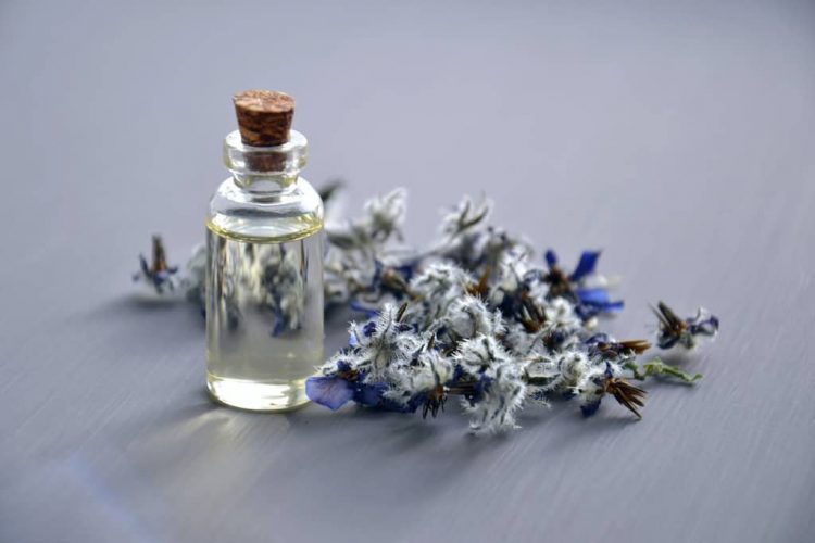 5 Best Lavender Perfumes and Everything You Need to Know About It lavender essential oils