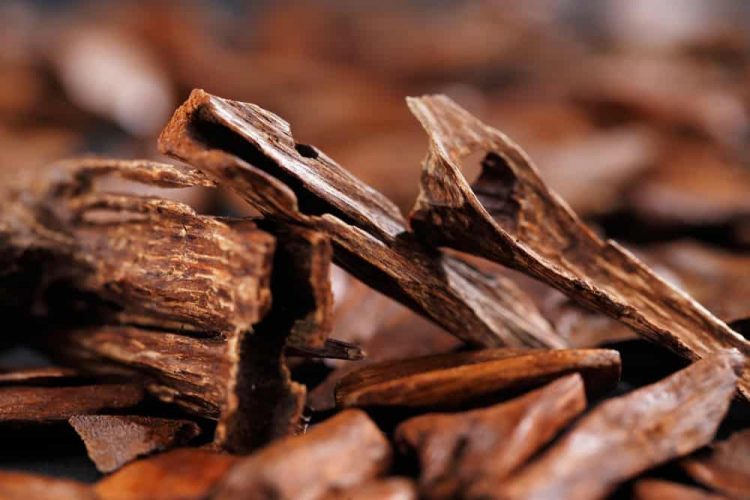 Smooth Santalum: 11 Of The Best Sandalwood Colognes sandalwood
