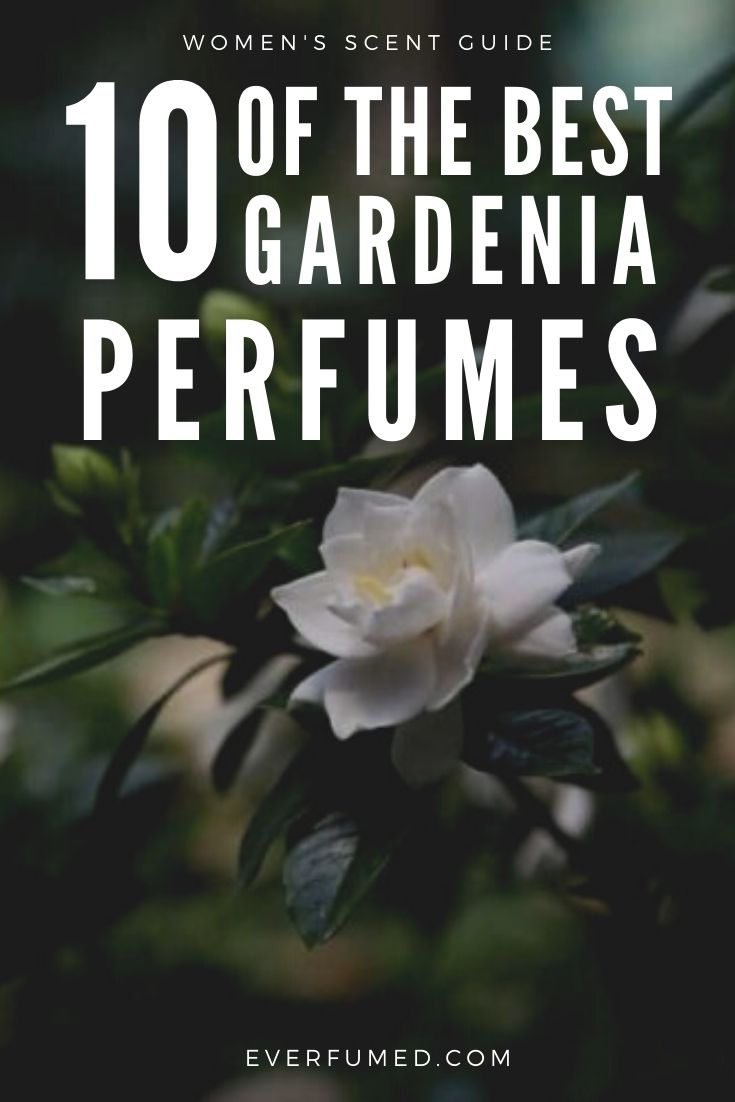 All About Gardenia Perfumes Plus 10 of the Best Best Gardenia Perfumes