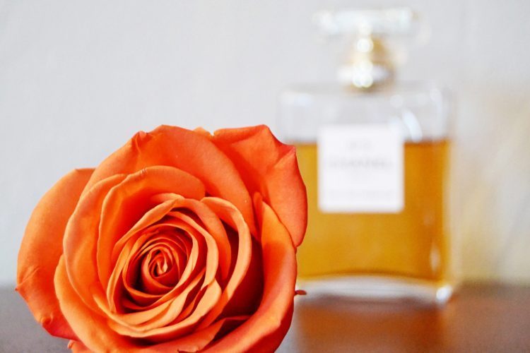 The Secret of Chanel No. 5: Interview with Historian Tilar J Mazzeo chanel rose