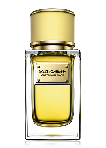 10 Dolce and Gabbana Perfume for Luxury Oriented Women mimosa bloom perfume