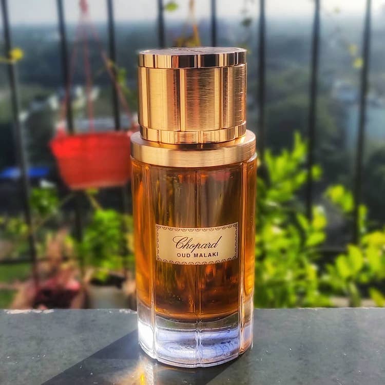 Best Chopard Fragrances: The Ethical Way to Smell Good chopard oad malaki fragrance