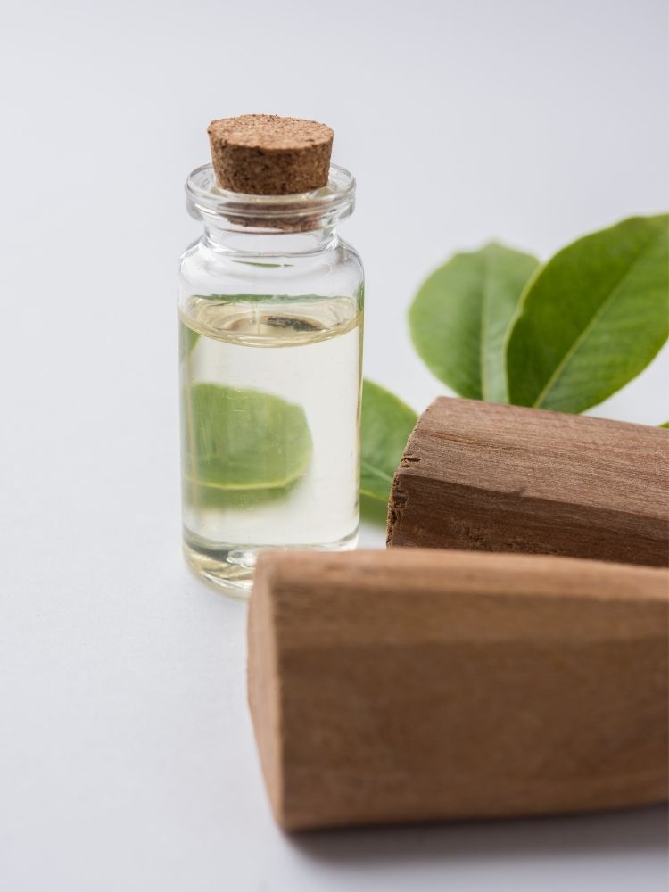 Burberry for Men Reviewed: A Classic, Iconic & Timeless Scent sandalwood