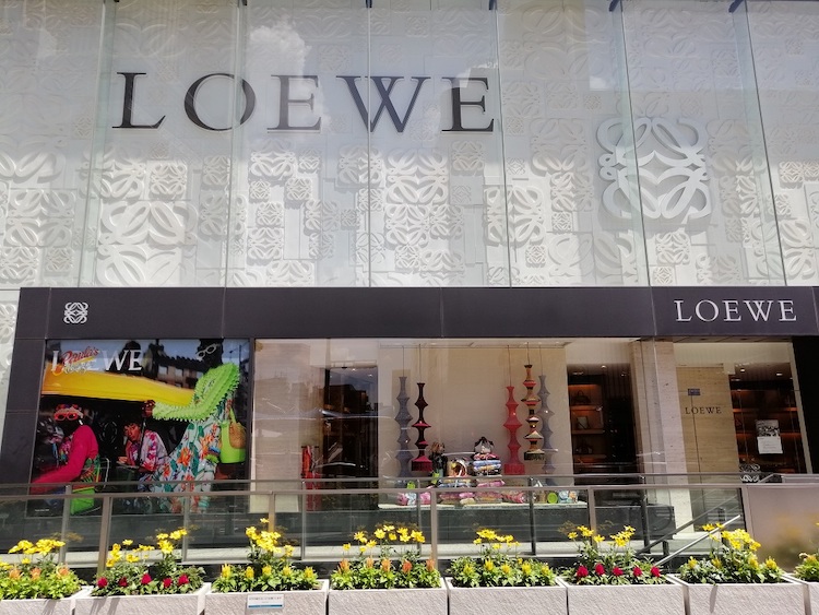 Best Loewe Aura Fragrances Reviewed: Light, Airy & Distinct Loewe