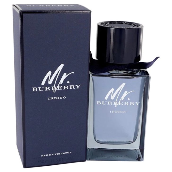10 Best Burberry Colognes For Men Reviewed (2024) Mr Burberry Indigo EDT