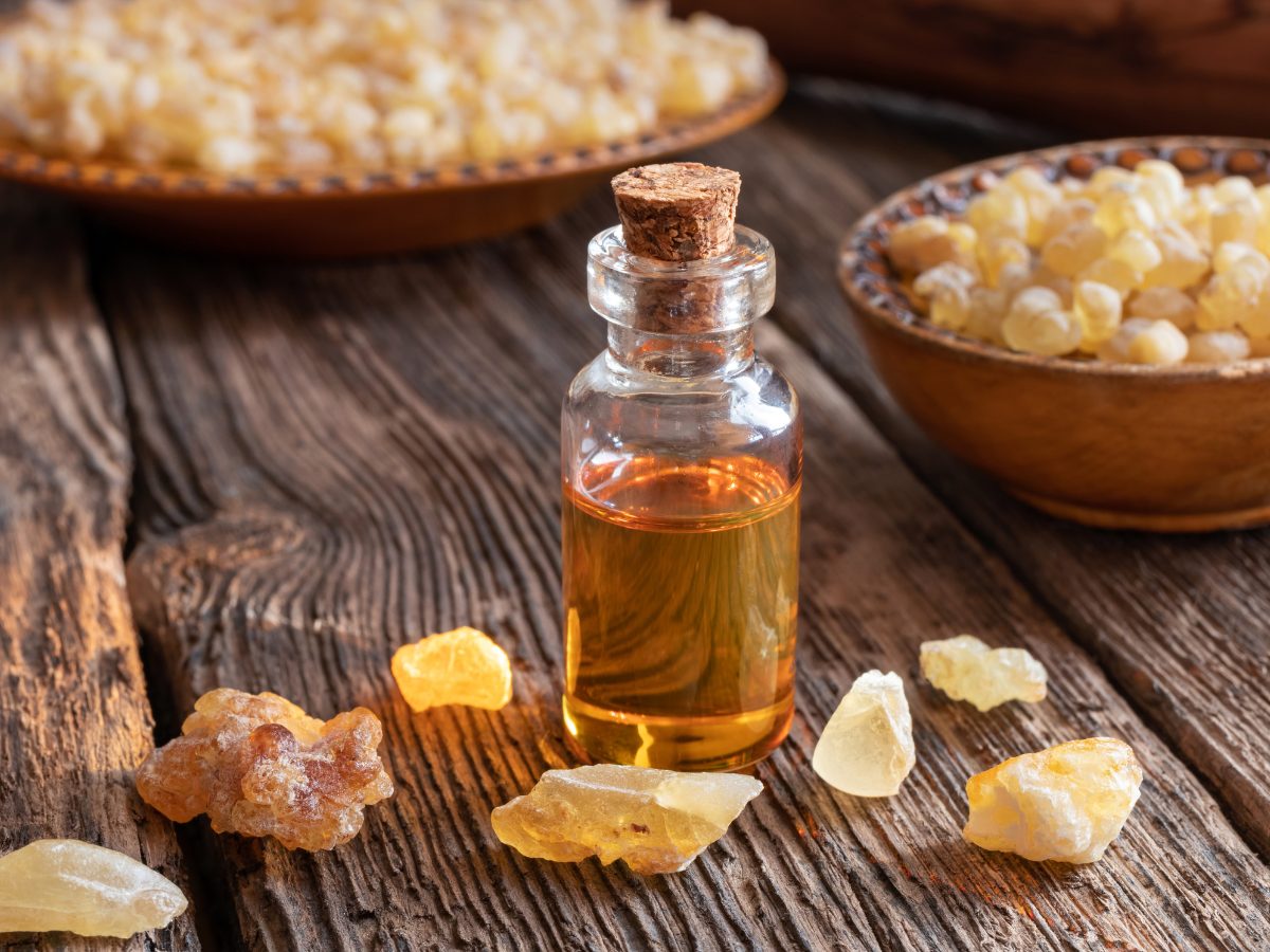 6 Best Frankincense Perfumes: Earthy, Historic & Iconic Frankincense Perfume