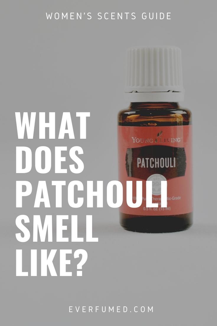 What Does Patchouli Smell Like? What Does Patchouli Smell Like?