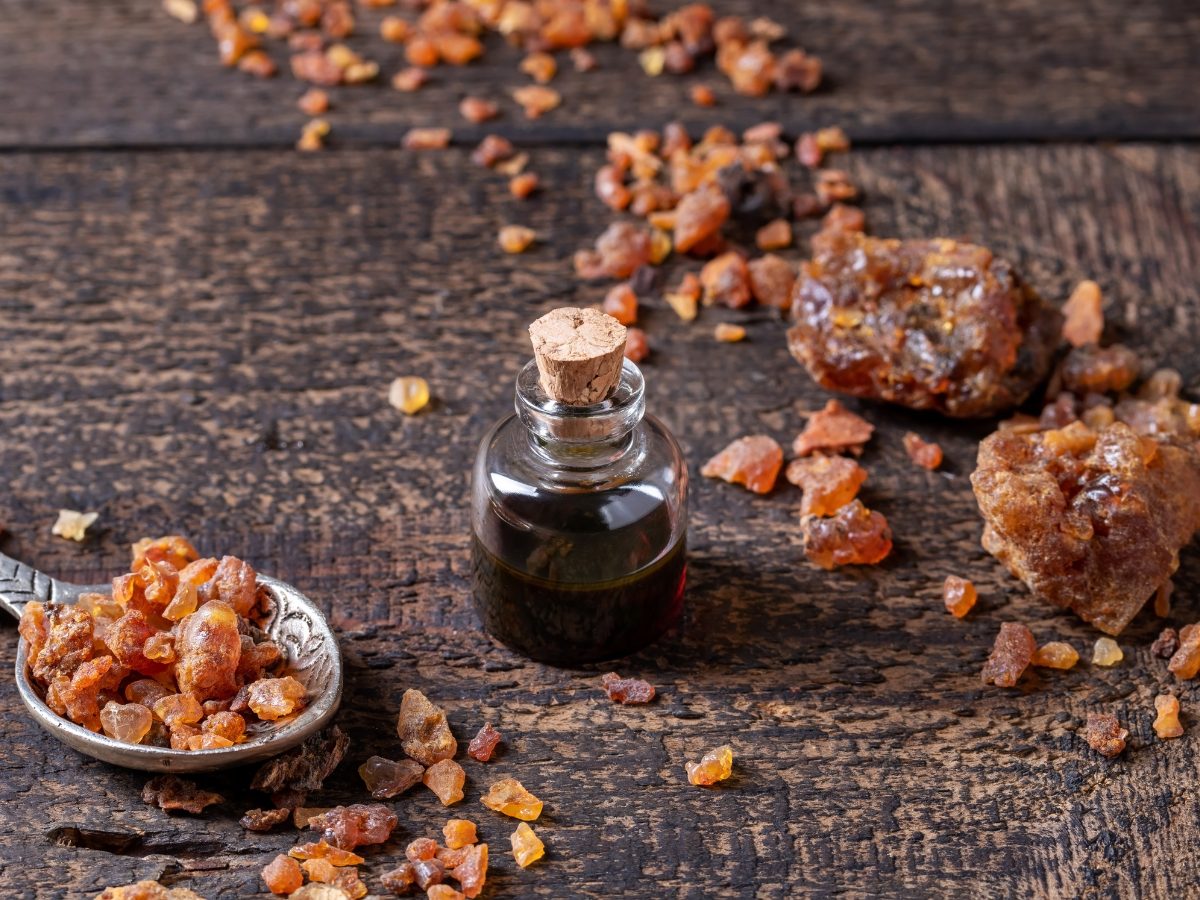 10 Best Myrrh Perfumes and Colognes Reviewed: Warm & Woody Myrrh