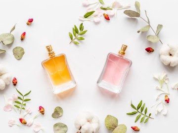 Eau de Parfum vs Toilette: What's the Difference? Eau de Parfum vs. Toilette