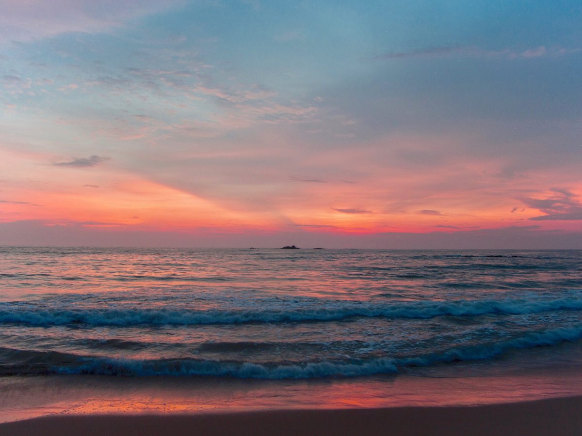 Elizabeth Arden White Tea EDP Review: Light & Airy Sea Breeze