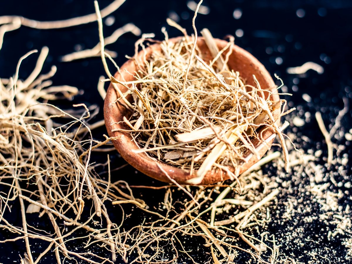 What Does Vetiver Smell Like? Vetiver roots