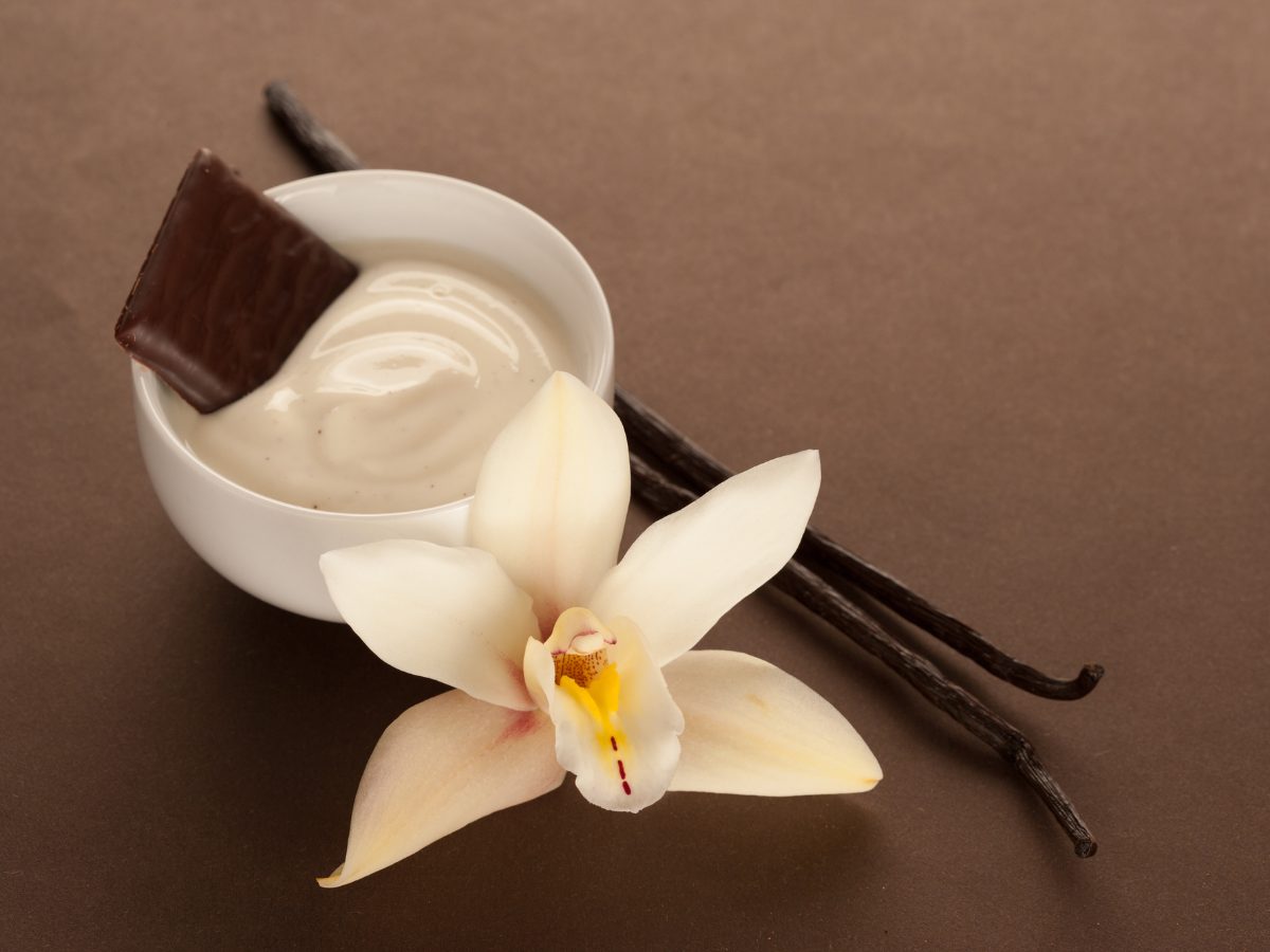 Billie Eilish Eilish EDP Review: Sweet, Sensual & Sophisticated vanilla and cacao