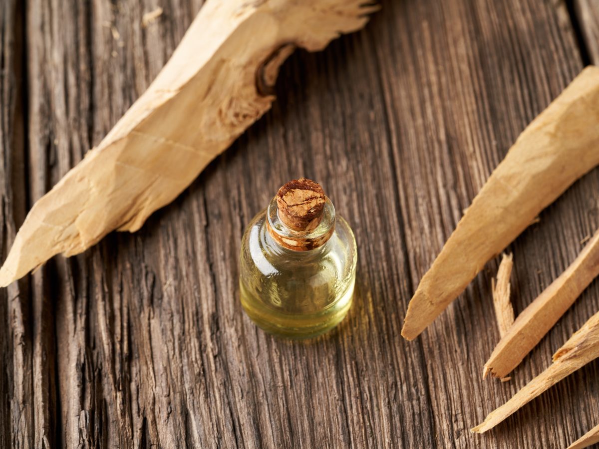 9 Amber Woody Fragrances: Winter's Special Scents