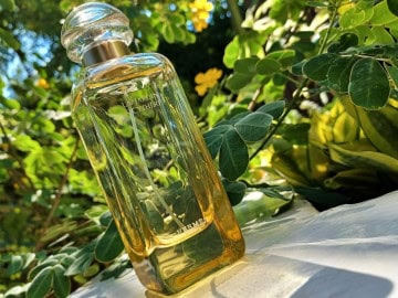 8 Best Pistachio Fragrances: Nutty, Creamy & Earthy Best Pistachio Fragrances