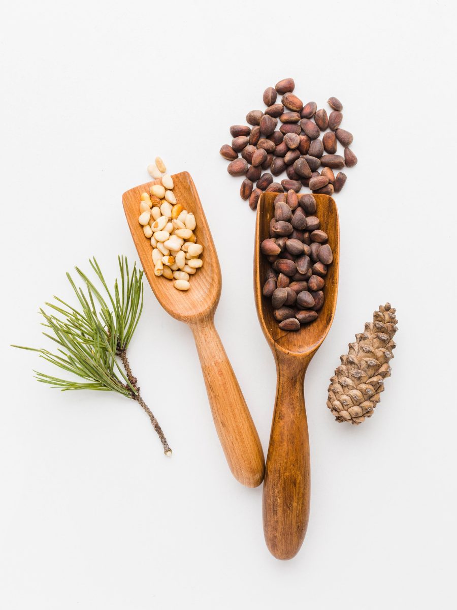 What Does Cedar Smell Like in Perfumery?