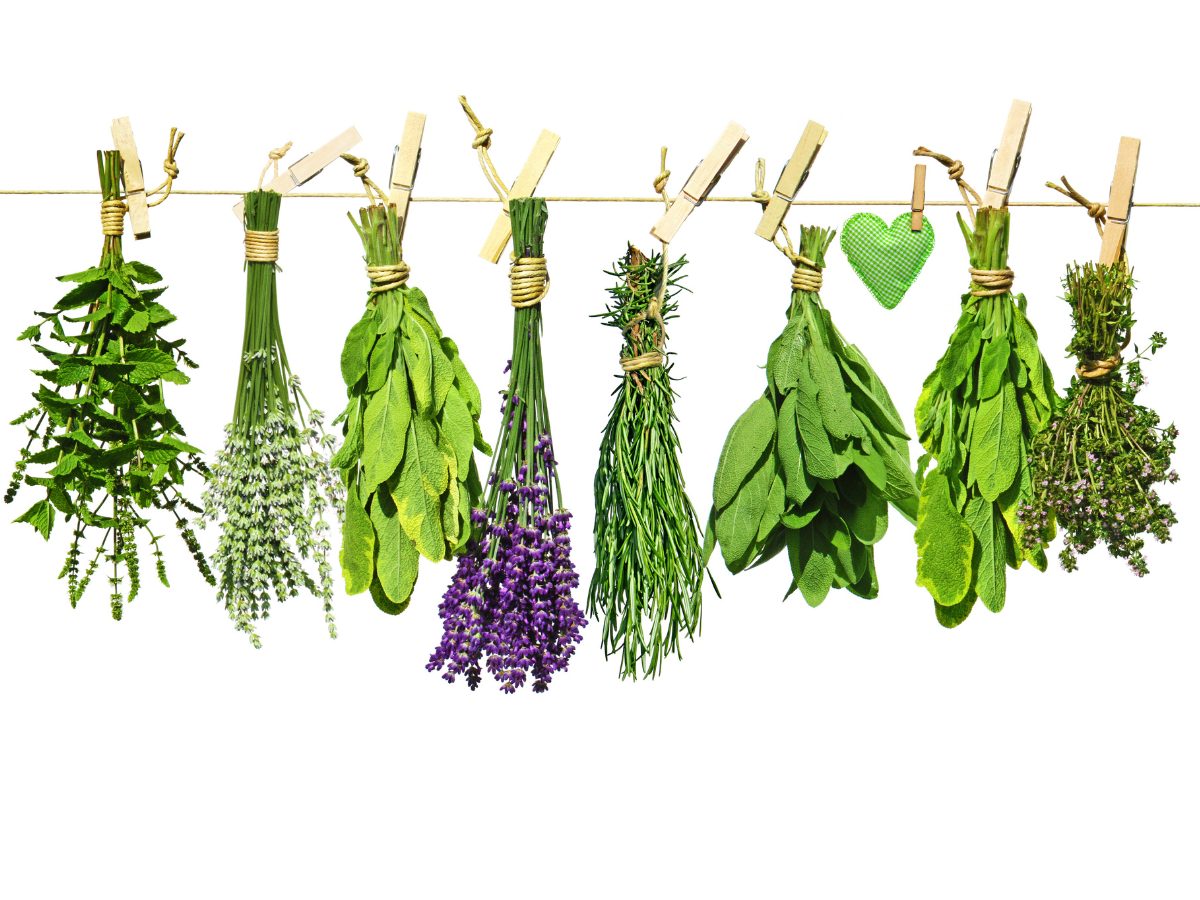 9 Best Aromatic Perfumes: Spicy & Pungent-Fresh 9 Best Aromatic Perfumes: Spicy & Pungent-Fresh