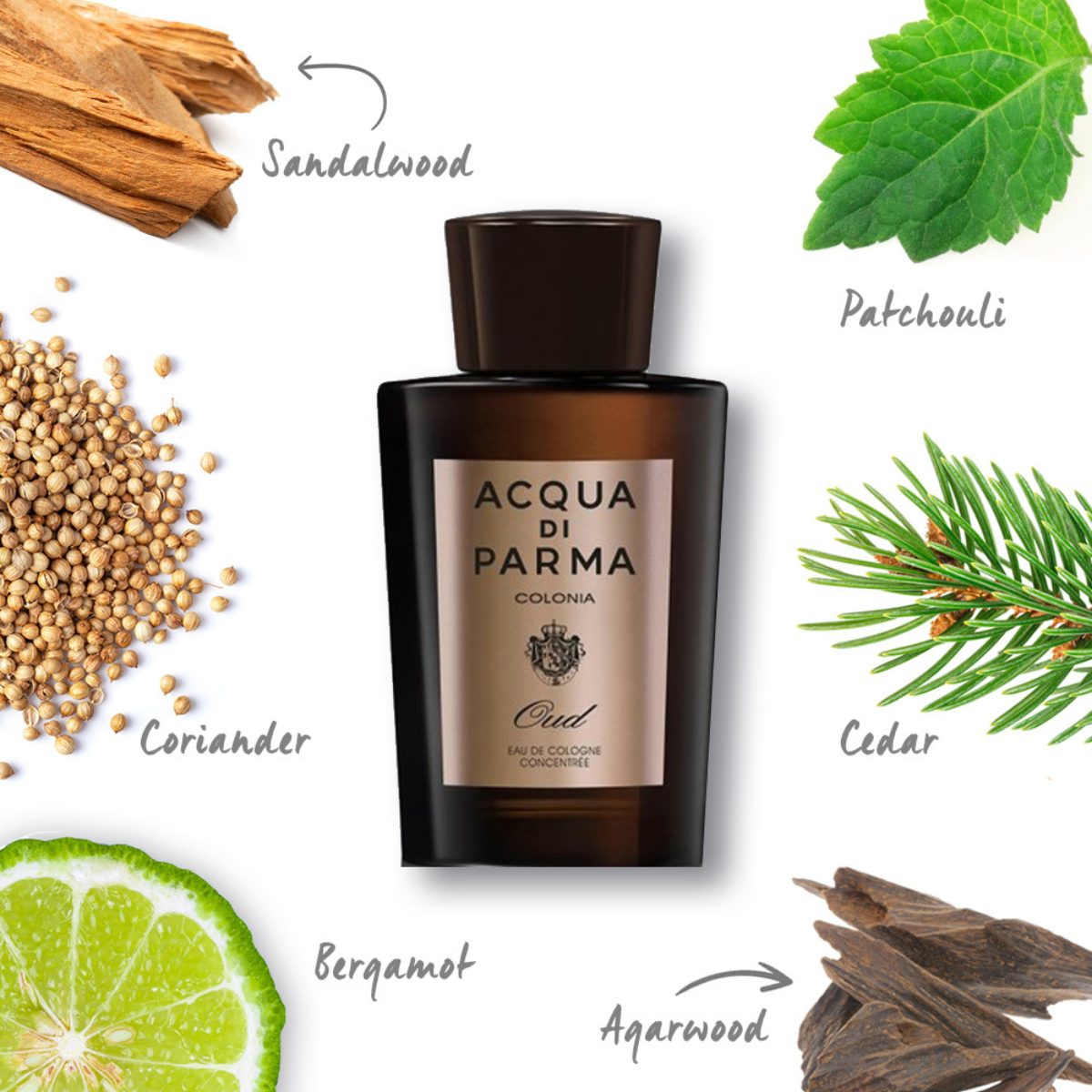 11 Best Oud Perfumes (That Aren’t Overwhelming) Acqua di Parma Colonia Oud