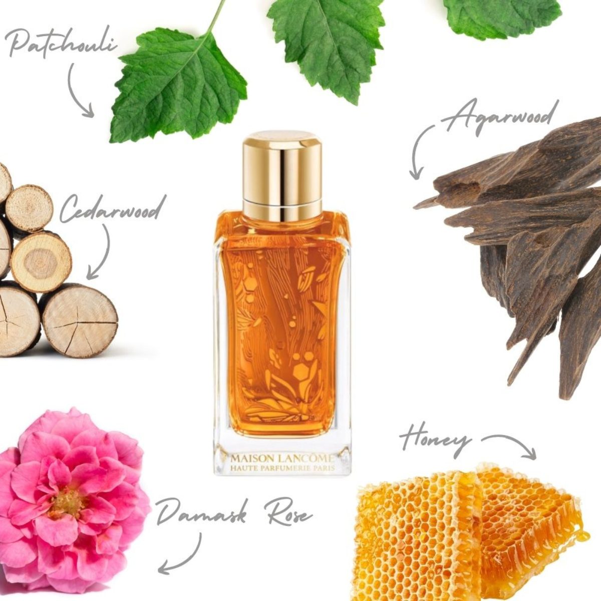 11 Best Oud Perfumes (That Aren’t Overwhelming) Ambroisie Oud by Lancome