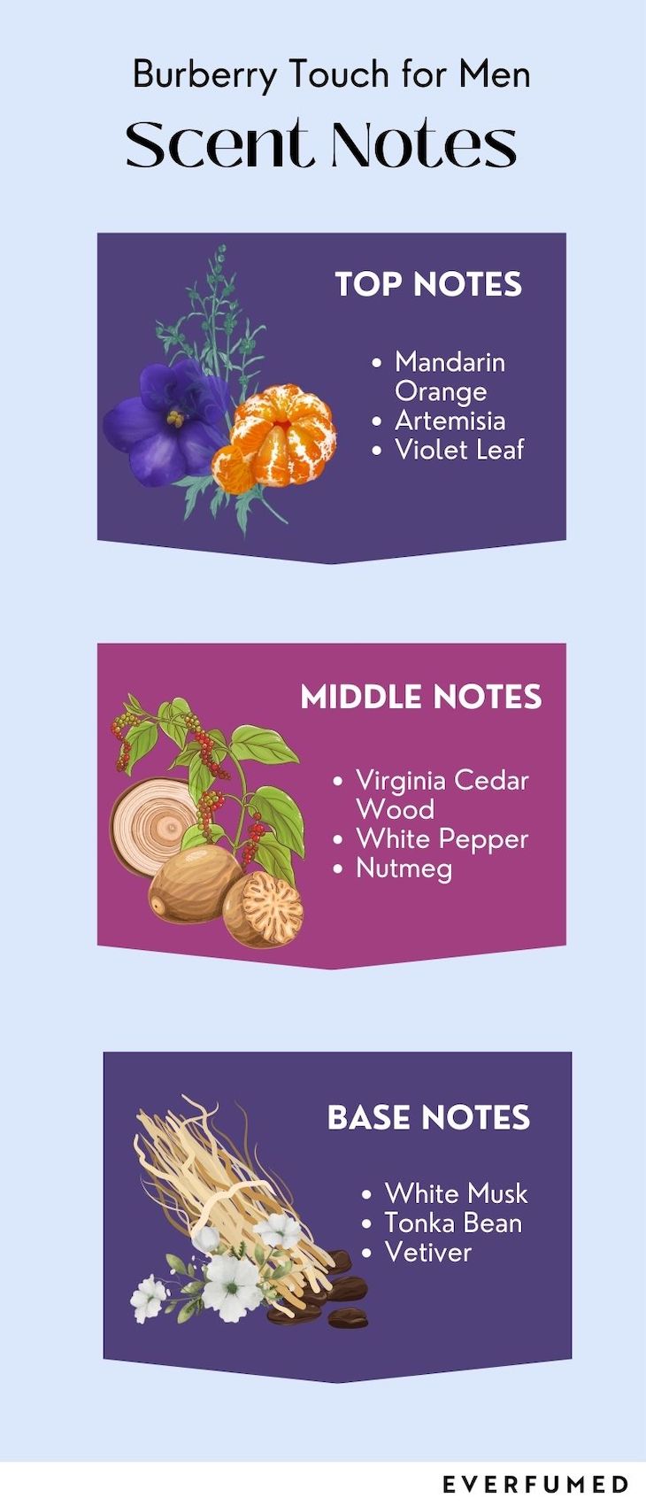 A Review of Burberry Touch For Men: Intriguing and Masculine Burberry Touch for Men Infographic