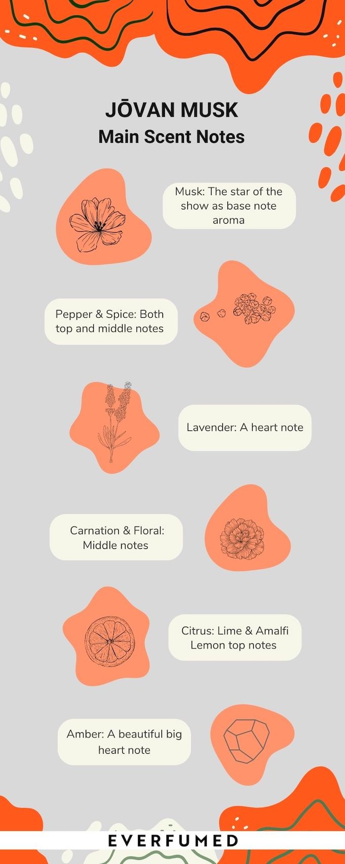 Jovan Musk For Men: Has It Stood The Test Of Time? Jovan Musk Scent Notes Infographic