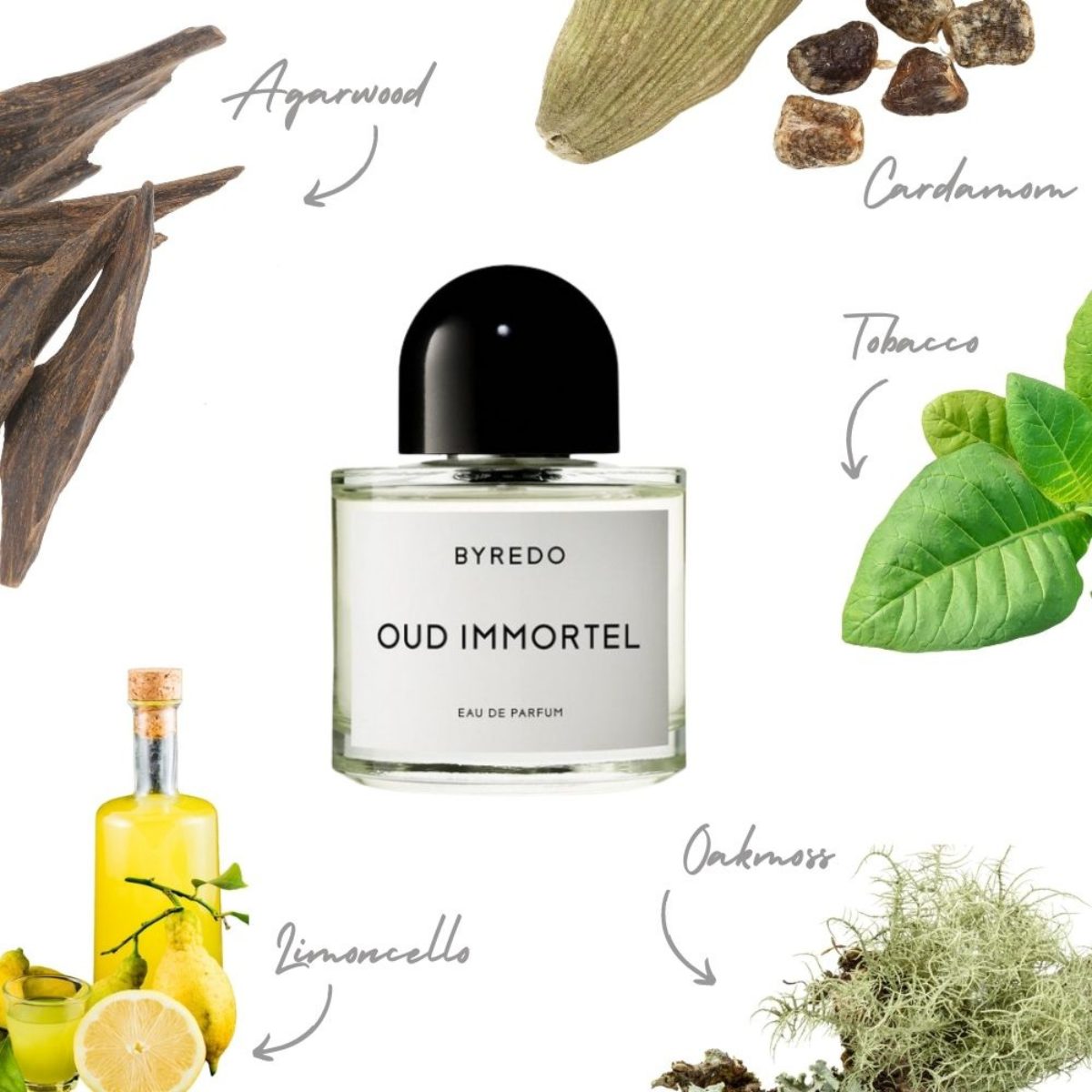 11 Best Oud Perfumes (That Aren’t Overwhelming) Oud Immortel Byredo