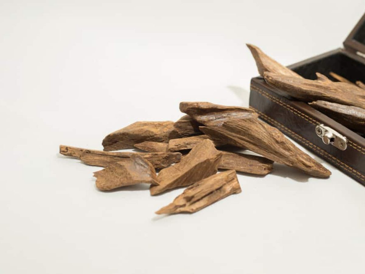 11 Best Oud Perfumes (That Aren’t Overwhelming) Oud Wood