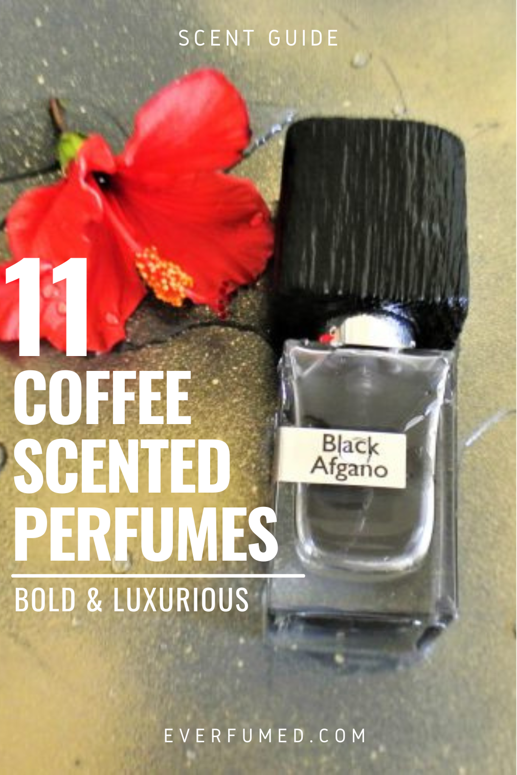 11 Coffee Scented Perfumes: Bold & Luxurious 11 Coffee Scented Perfumes: Bold & Luxurious