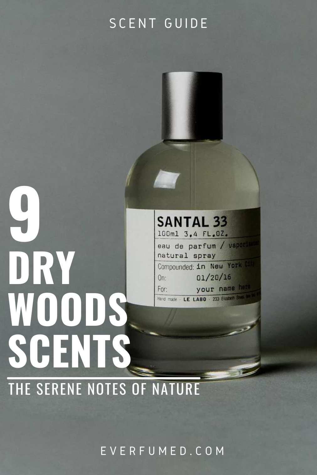 9 Dry Woods Scents: The Serene Notes of Nature 9 Dry Woods Scents: The Serene Notes of Nature